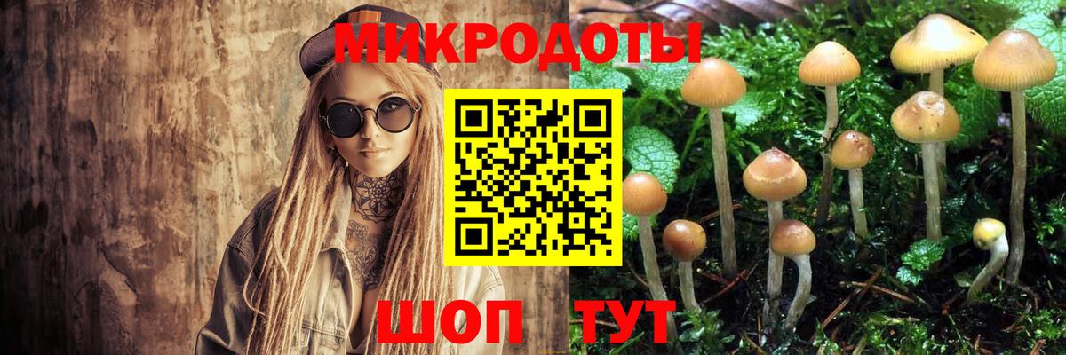 Галлюциногенные грибы мухоморы Электрогорск