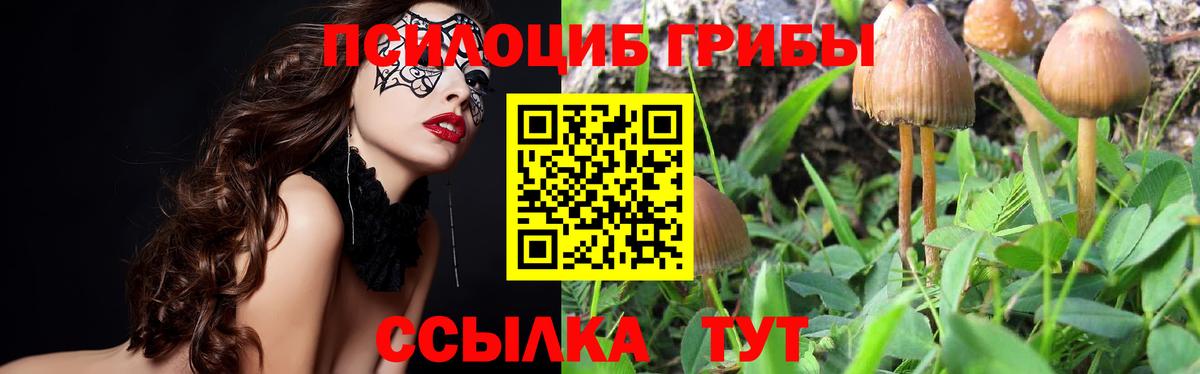 Галлюциногенные грибы мицелий  Вход с VPN  Электрогорск 